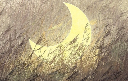 Symbolbild: Mond